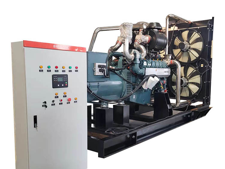 300KW 沼氣發(fā)電機組